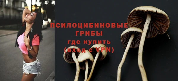 ПСИЛОЦИБИНОВЫЕ ГРИБЫ Абинск