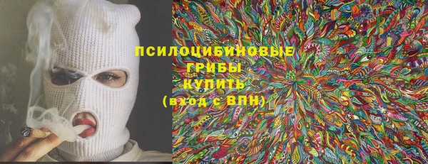 ПСИЛОЦИБИНОВЫЕ ГРИБЫ Абинск